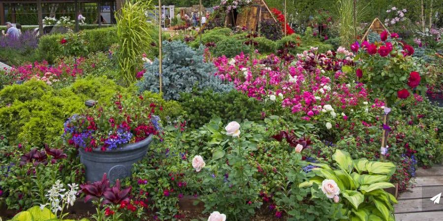 a flower garden