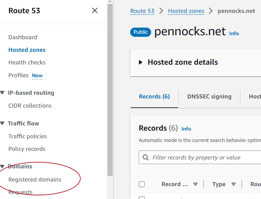 Route 53 Dashboard showing Registered Domain option