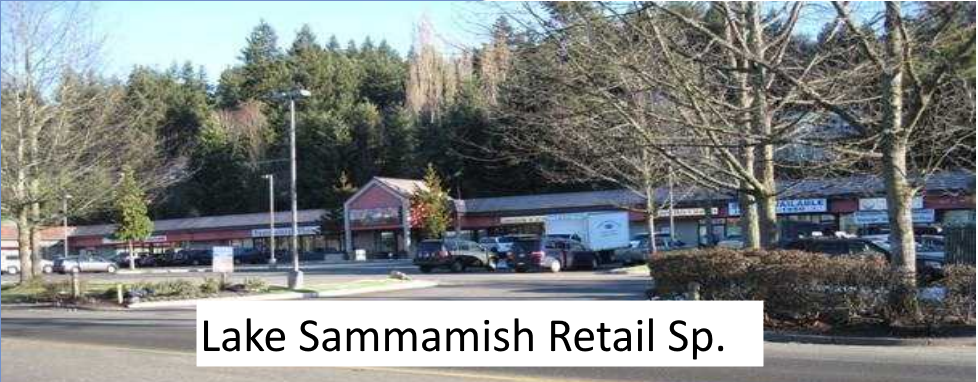 Front of the Lake Sammamish Retail Space